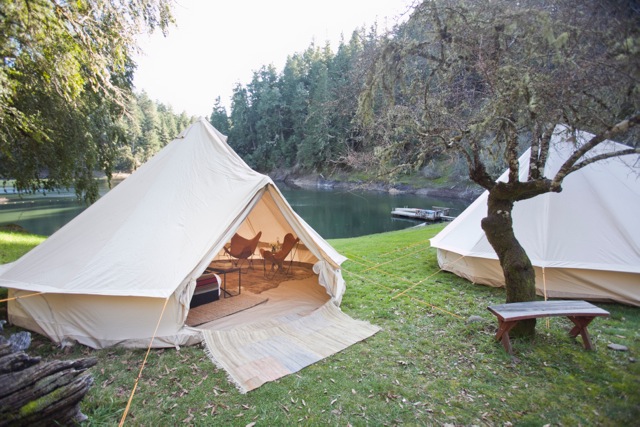 Shelter Co Camping 1