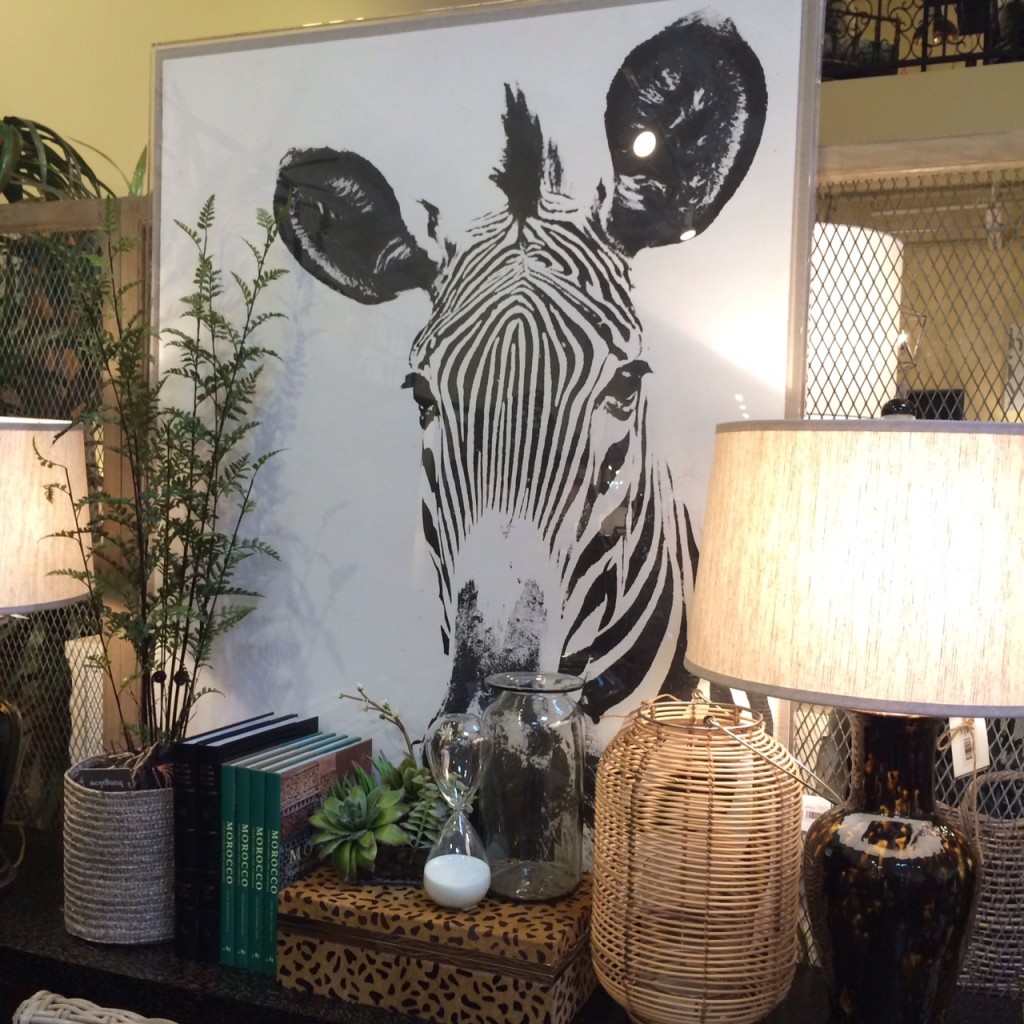 Phoenix Bungalow Zebra print lucite frame