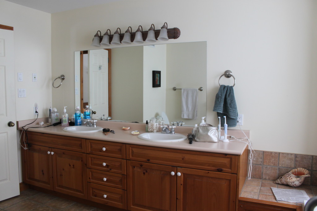 McCann master bathroom before